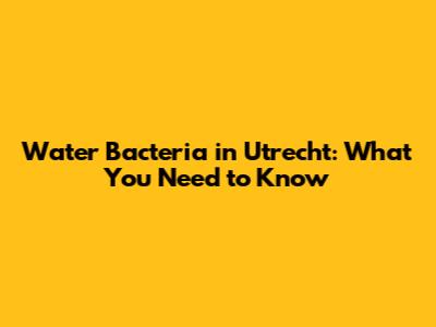 Water Bacteria in Utrecht: What You Need to Know