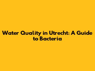 Water Quality in Utrecht: A Guide to Bacteria