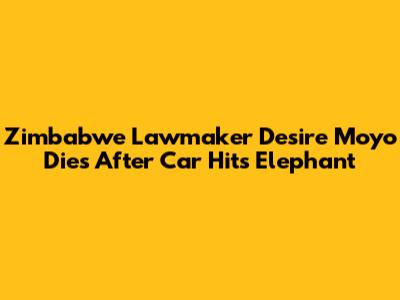 Zimbabwe Lawmaker Desire Moyo Dies After Car Hits Elephant
