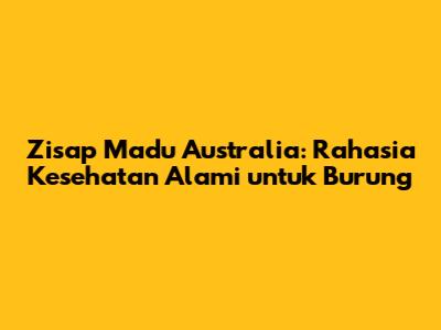 Zisap Madu Australia: Rahasia Kesehatan Alami untuk Burung