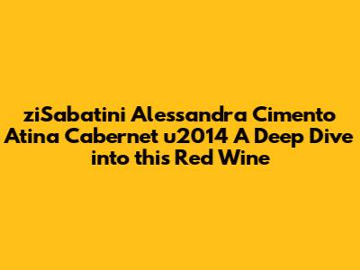 ziSabatini Alessandra Cimento Atina Cabernet u2014 A Deep Dive into this Red Wine